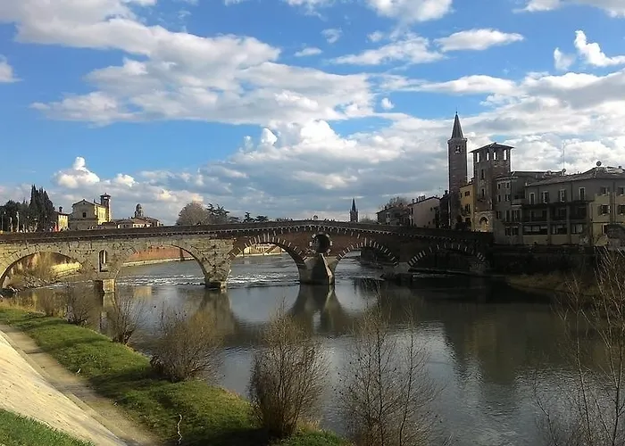 Daire Amami Alfredo *