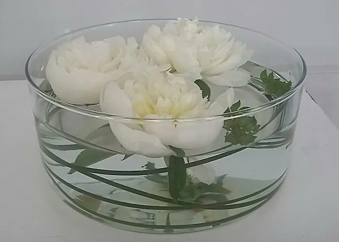 Apartment Amami Alfredo *